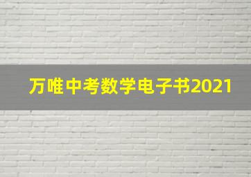 万唯中考数学电子书2021