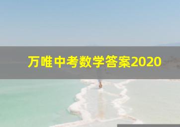 万唯中考数学答案2020