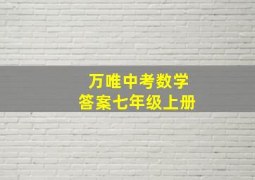 万唯中考数学答案七年级上册