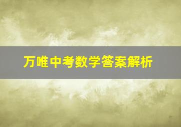 万唯中考数学答案解析