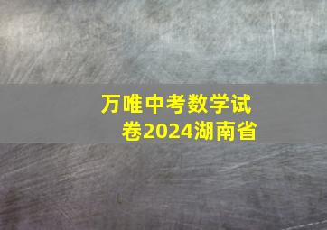 万唯中考数学试卷2024湖南省