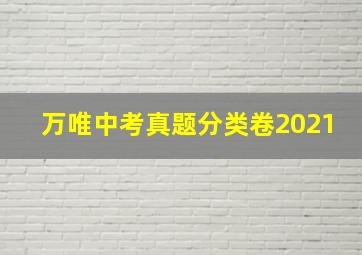 万唯中考真题分类卷2021