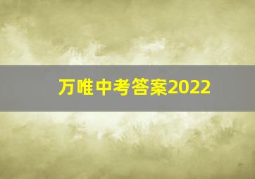 万唯中考答案2022