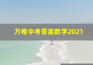 万唯中考答案数学2021