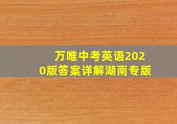 万唯中考英语2020版答案详解湖南专版