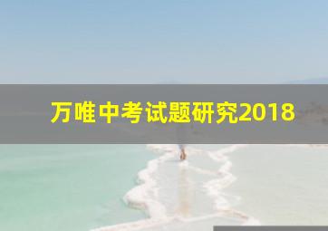 万唯中考试题研究2018