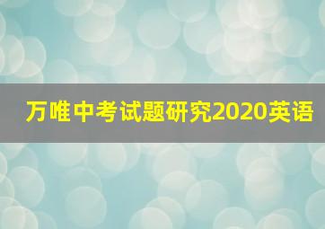 万唯中考试题研究2020英语