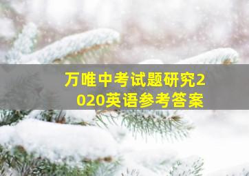 万唯中考试题研究2020英语参考答案