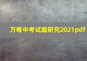 万唯中考试题研究2021pdf