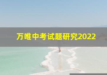 万唯中考试题研究2022