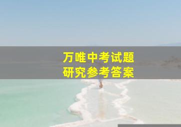 万唯中考试题研究参考答案