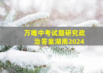 万唯中考试题研究政治答案湖南2024