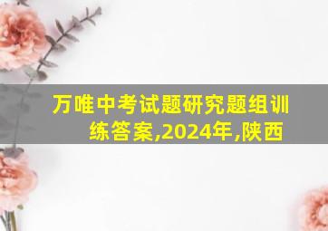 万唯中考试题研究题组训练答案,2024年,陕西