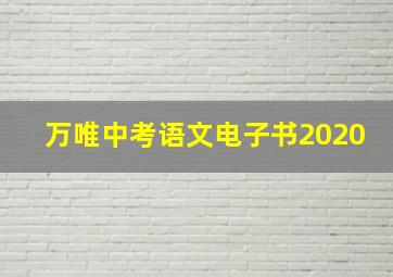 万唯中考语文电子书2020