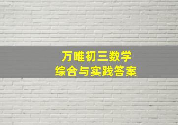 万唯初三数学综合与实践答案