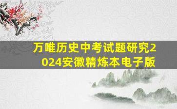 万唯历史中考试题研究2024安徽精炼本电子版