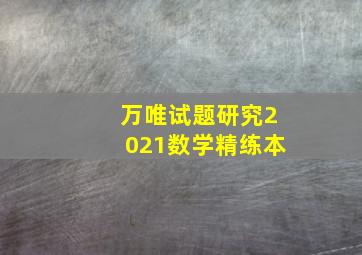 万唯试题研究2021数学精练本