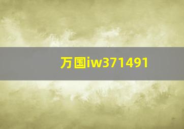 万国iw371491