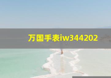 万国手表iw344202