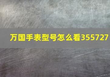 万国手表型号怎么看355727