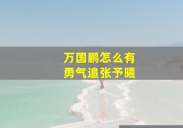 万国鹏怎么有勇气追张予曦