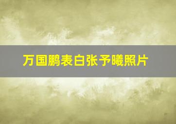 万国鹏表白张予曦照片