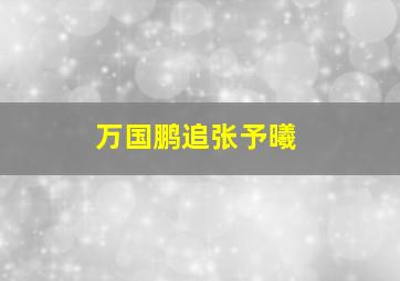 万国鹏追张予曦