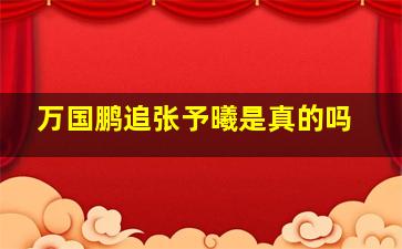 万国鹏追张予曦是真的吗