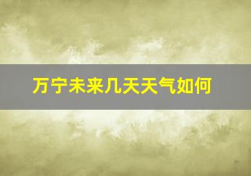 万宁未来几天天气如何