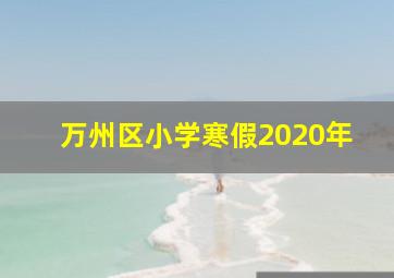 万州区小学寒假2020年