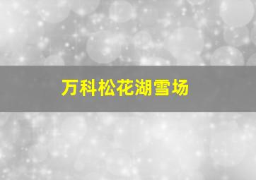 万科松花湖雪场