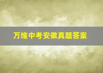 万维中考安徽真题答案