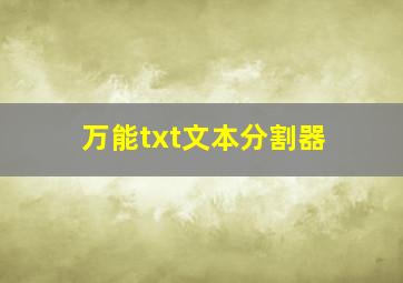 万能txt文本分割器