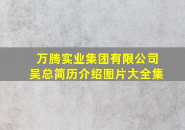 万腾实业集团有限公司吴总简历介绍图片大全集