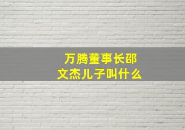 万腾董事长邵文杰儿子叫什么