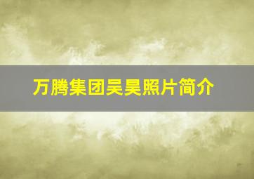 万腾集团吴昊照片简介