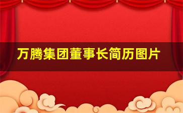 万腾集团董事长简历图片