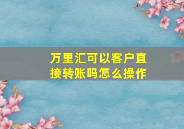 万里汇可以客户直接转账吗怎么操作