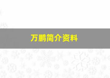 万鹏简介资料