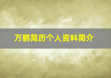 万鹏简历个人资料简介