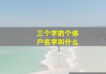 三个字的个体户名字叫什么