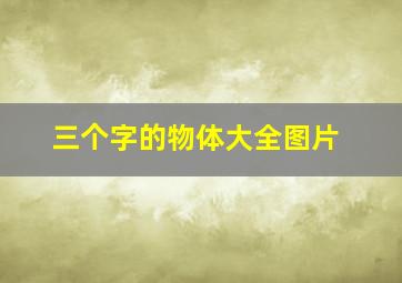 三个字的物体大全图片