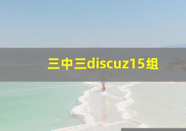 三中三discuz15组