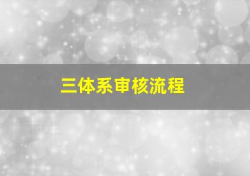 三体系审核流程