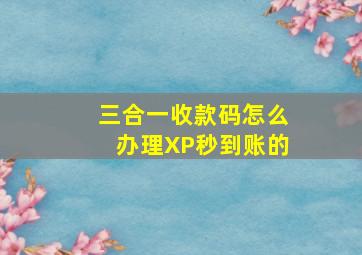 三合一收款码怎么办理XP秒到账的