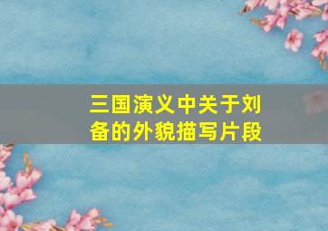 三国演义中关于刘备的外貌描写片段