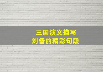 三国演义描写刘备的精彩句段