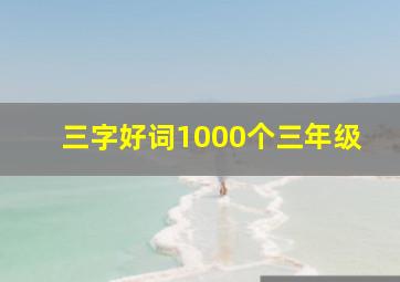 三字好词1000个三年级