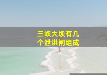 三峡大坝有几个泄洪闸组成