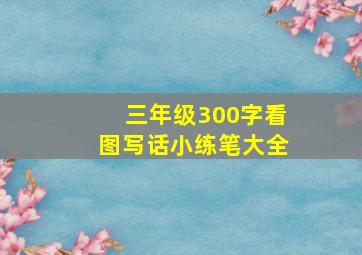 三年级300字看图写话小练笔大全